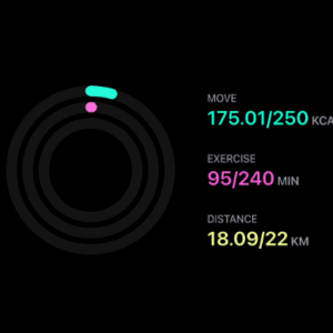 Fitness activity rings showing move goal 175.01 of 250 kcal, exercise 95 of 240 minutes, and distance 18.09 of 22 kilometers completed.